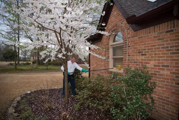 Allied Termite & Pest Control