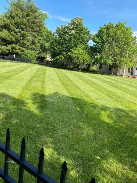 Acosta Lawncare & Landscaping LLC