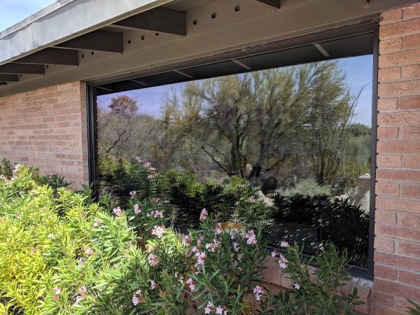Eco Pure Window Cleaning