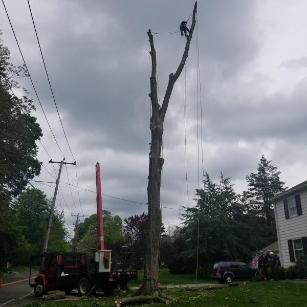 SHD Landscaping Company Inc.