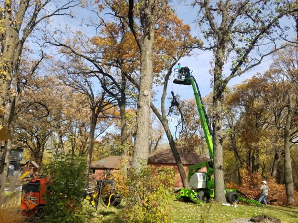 Pioneer Tree Service