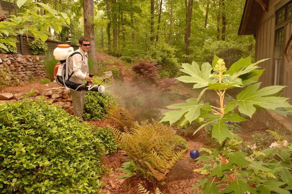 The Mosquito Masters
