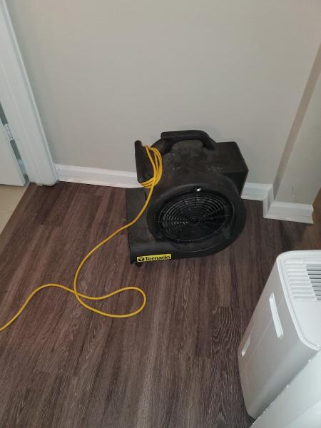 Green Light Restoration and Mitigation Services