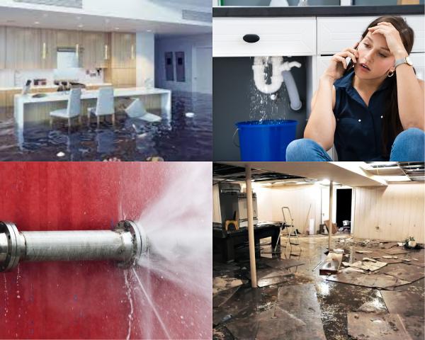Green Light Restoration and Mitigation Services