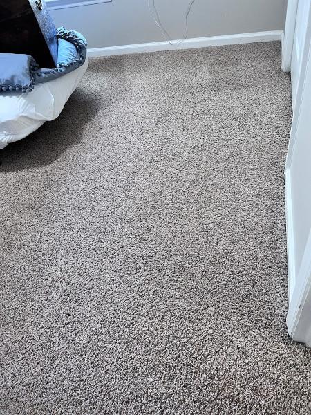 Southern Dry Carpet Cleaning
