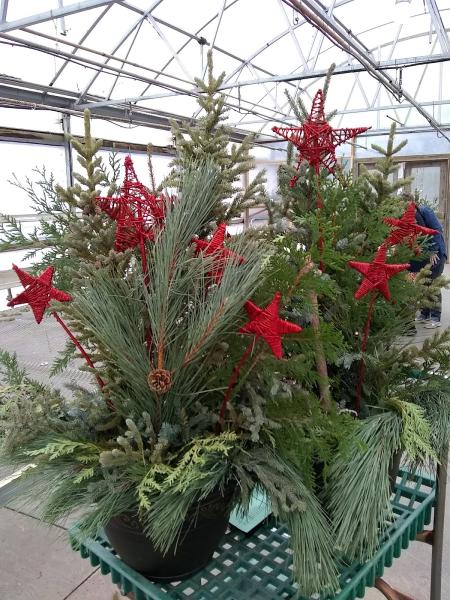 Dundee Landscaping & Wholesale Nursery