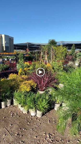 Perez Nursery & Landscaping