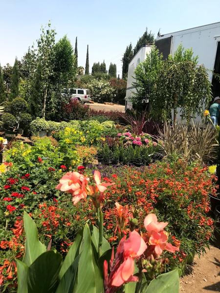 Perez Nursery & Landscaping