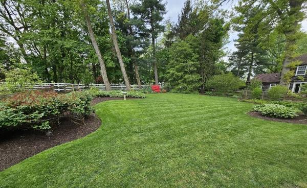 Organic Lawns