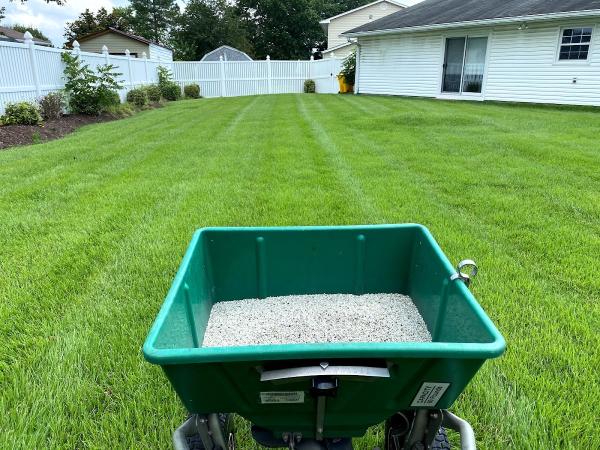 Organic Lawns