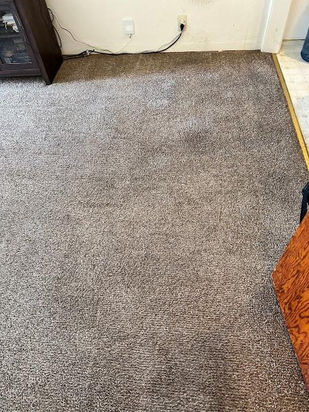 Ara's Carpet Cleaning