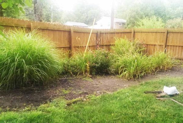Mi Jalisco Landscaping