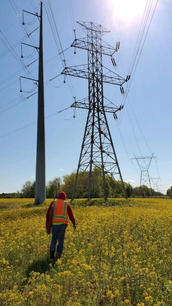 Lutz's Surveying Services