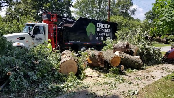 Choice Tree Service