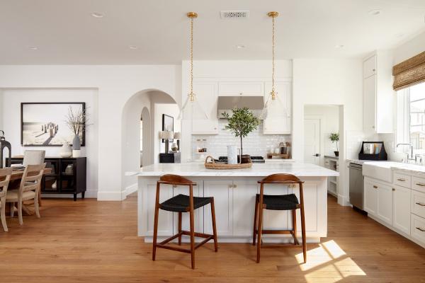 Robson Homes