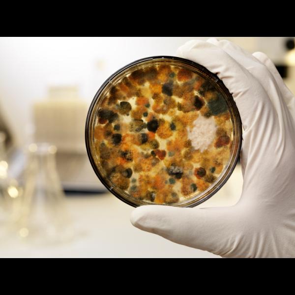 Enviro Diagnostics