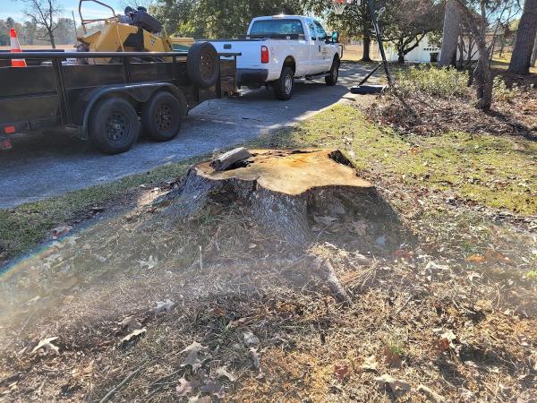 Georgia Stump Grinders