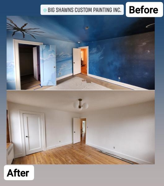 Big Shawns Custom Painting Inc.