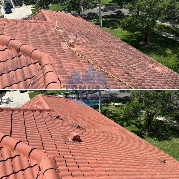 Tampa's Pressure Washing Services