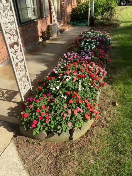 Ty the Yard Guy LLC