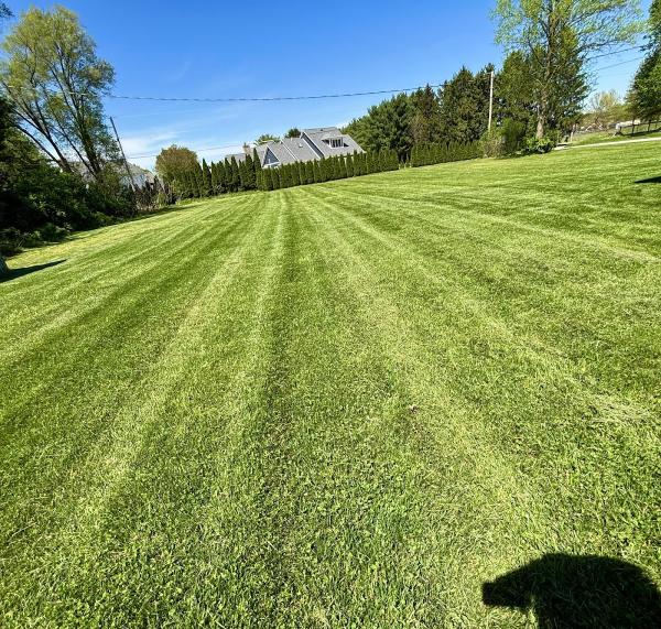 Penn Brothers Lawn and Landscaping LLC