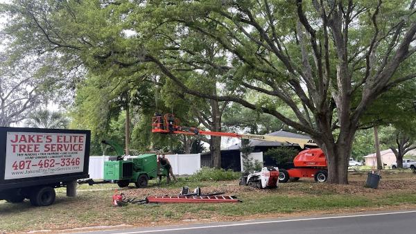 Jake's Elite Tree Service