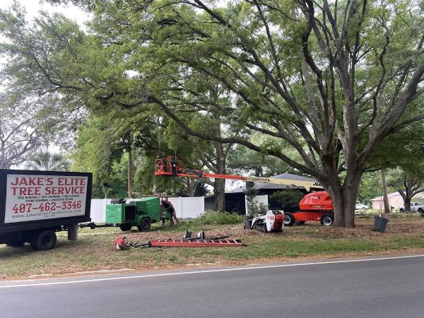 Jake's Elite Tree Service
