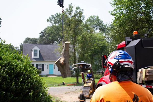Empire Tree Services