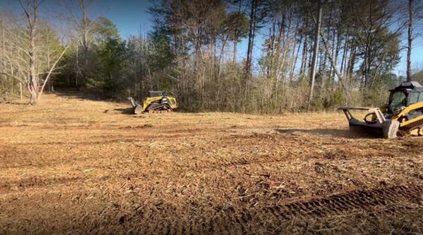 Empire Tree Services