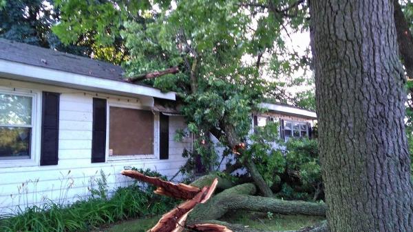 Muller Brothers Tree Service LLC Now @ the Lawn Ranger