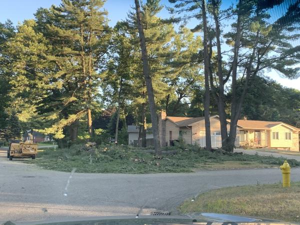 Muller Brothers Tree Service LLC Now @ the Lawn Ranger