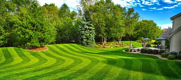 The Garden Builders