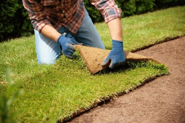 The Garden Builders