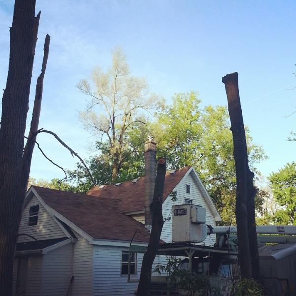 Alltreecare Llc