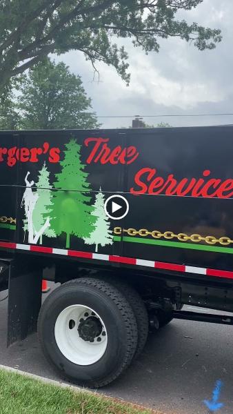 Umberger's Tree Service
