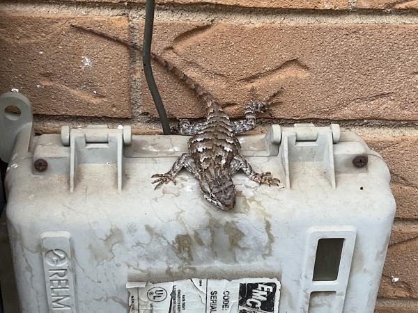 Buyers Choice Home Inspection Services LLC