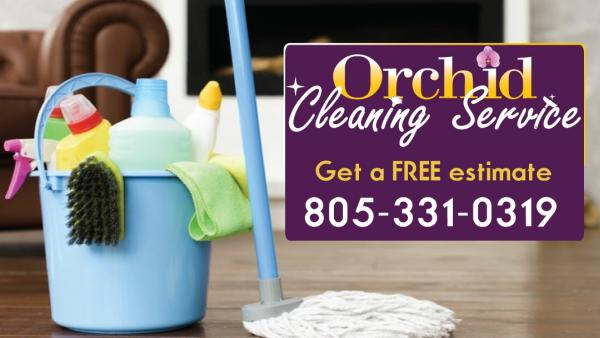 Orchid Cleaning
