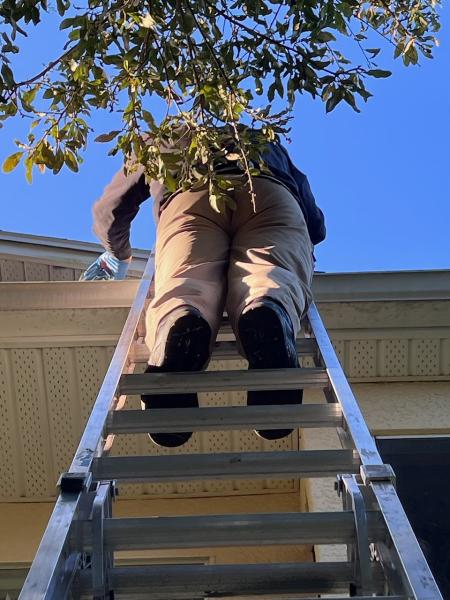 Asm Pest Control