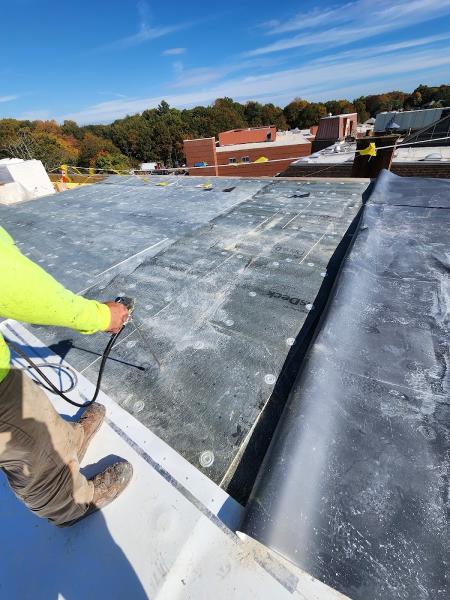 Chino Chimney and Roof Service