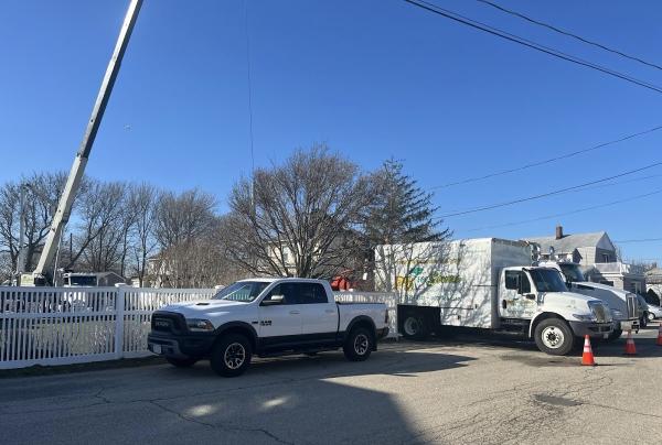 Ps Tree Service