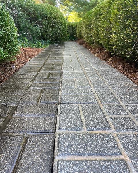Troy's Exterior Cleaning