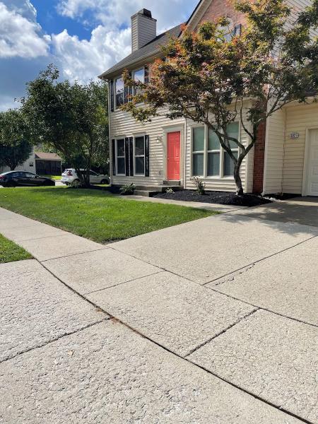 Troy's Exterior Cleaning