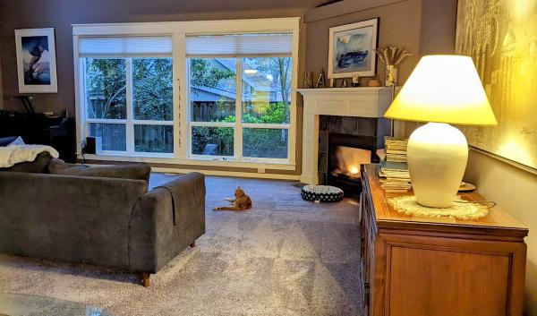 A+ Carpet Cleaning