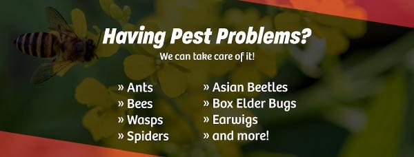 MRK Pest Control
