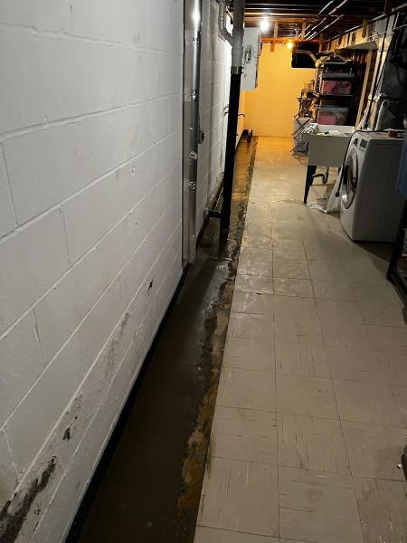 ARK Basement Services