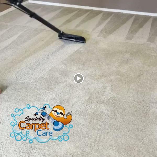 Specialty Carpet Care