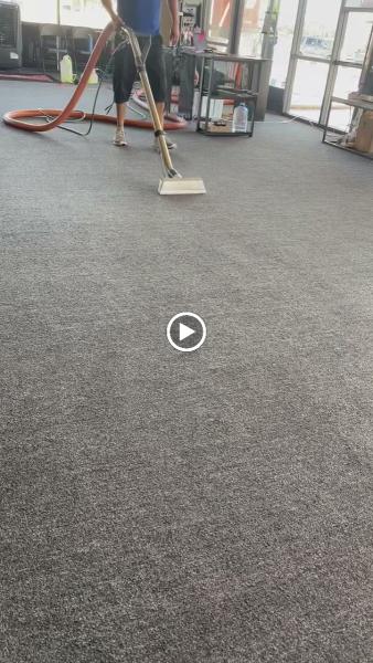 Specialty Carpet Care
