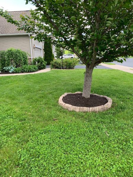 Smalley's Lawn Care