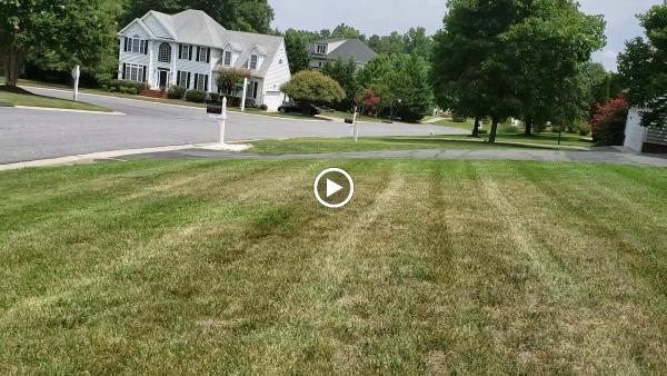 Top Cut Landscaping