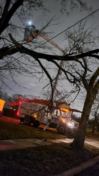 KSD Tree Service